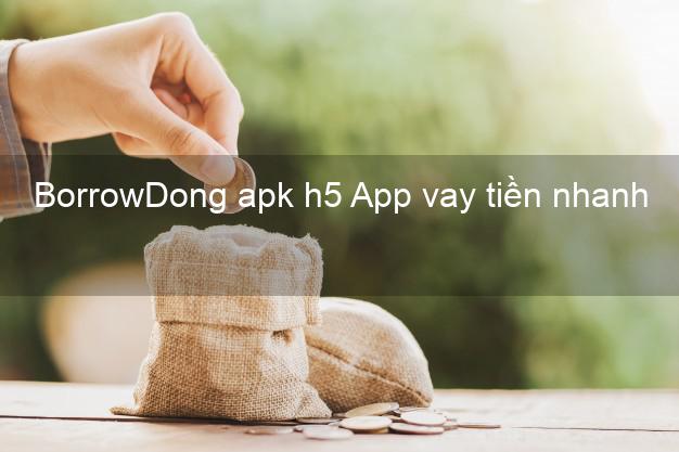 BorrowDong apk h5 App vay tiền nhanh